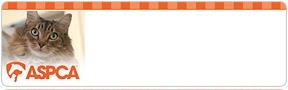 ASPCA® Cats Address Labels