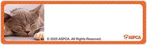 ASPCA® Kittens Address Labels